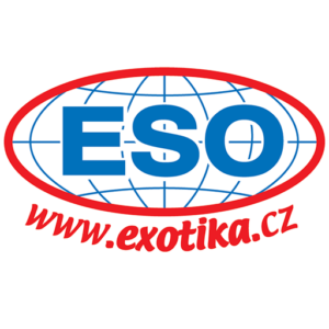 Eso travel logo